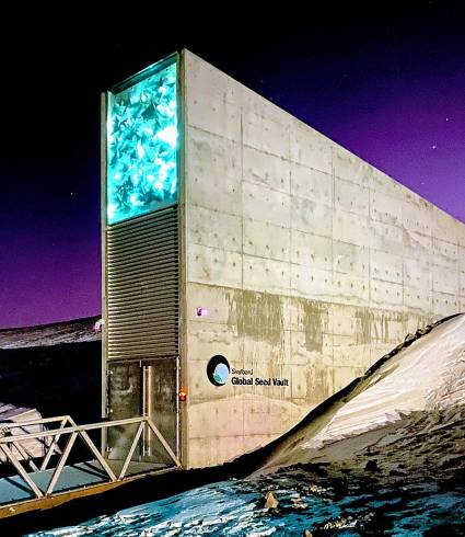 Entrance_to_the_Seed_Vault_(cropped)
